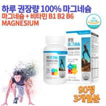 약국 고용량 고함량 마그네시움 비타민 b1 b2 비원 비투 비식스 남성 운동선수 성장기 어린이 청소년 중학생 고등학생 수험생 여성 공시생 고시생 마그네슘 제 영양제 약 3개월분, 1000mg 90정