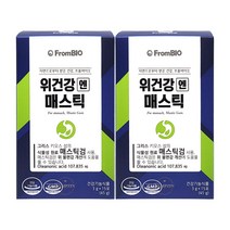 프롬바이오 위건강 엔 매스틱 이병헌 그리스산 순식물성 매스틱 검 15포 2상자, 단일옵션