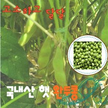국내산 제철 햇 깐 완두콩 500g 1kg 냉동 완두배기 냉동 이유식 스프 찜 풋콩 약콩 급냉 (강원도 고성군) 국산완두콩 완두콩캔 완두콩통조림 콩통조림 콩, 1개