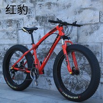 광폭타이어 오프로드 MTB 자전거 입문용 선물 바퀴큰자전거 20인치 팻바이크