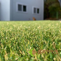 플로어마켓 국내생산 방염 보급형저밀도 16mm 인조잔디 CX1600 2M x 4M 테라스정원마당 인공잔디 옥상조경베란다 야외 실내 시공 강아지애견 카페트 골프장 롤매트