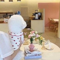 자칠 강아지 옷 봄여름 딸기 니트 테디비 곰보미 소형 개 고양이 옷, 화이트