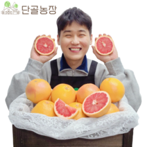 직수입 이스라엘산 평균당도 10Brix 루비자몽 레드자몽, 3.75kg내외/대과/10과