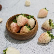 하얀딸기 흰딸기 설화향 눈꽃딸기 설화 백딸기 설희, 하얀딸기 500g(난좌포장)