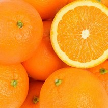 [퓨어스펙오랜지2kg] 달콤한 과즙 네이블 오렌지(대과) 2kg/3kg/5kg, 오렌지 3kg(13개입)