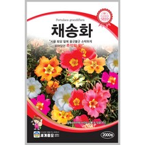 채송화 2000립 꽃씨 일년생 씨앗 몰 봄 여름 가을 야생화 세계종묘 농사마트