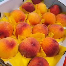 경북 제철 햇 황도 복숭아 딱딱이 물렁이, 2kg, 1개