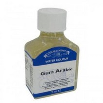 윈져뉴톤 검아라빅 75ml 3022906