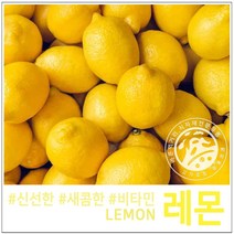 고가유통 / 상큼한 신선 레몬 팬시레몬 칠레산 상큼한 레몬선물, 레몬30개