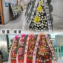 일산화환, [정품]근조화환(특)