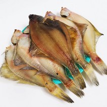 속초 중앙시장 맛집 반건조 생선 1마리, 부세 32cm