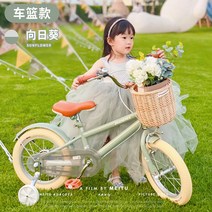 피닉스 브랜드 공식 어린이 자전거 사내 아이 여자 중학생 큰 3-10 세 아기 유모차, 18인치, 혼합색상