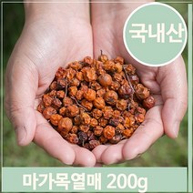 푸들 마가목 약초 열매 200g 붉은빛 영양 건강차 따뜻한차 (7563856), 기본