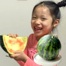 고당도 프리미엄 하우스 꿀 수박 4월 5월 제철 과일 선물, 5kg, 1개