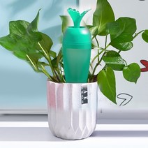 식물쑥쑥 당근모양 화분 자동급수기 블루그린 레드 반려식물 자동 물주기 케어