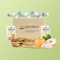 [진안고원농산] 무농약 직접 재배 3년근 약도라지 물과 첨가물을 넣지 않은 실속형 알뜰 더 순한 도라지배즙 90ml 100포