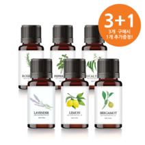 3+1 퓨어 에센셜 아로마 오일 [ 3개이상무료배송], 유칼립투스10ml(3개주문시+1개랜덤향)