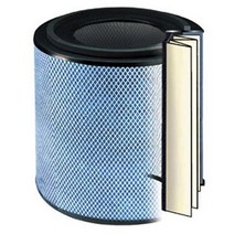 Austin Air FR250B Healthmate Jr. Plus Filter, 1