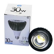 DNN 데이온 LED PAR30 30W (집중형), 전구색(3000k)