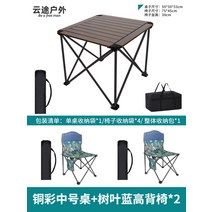 접이식식탁의자 에그롤테이블 알루미늄테이블 의자휴대 외부용 허리편한의자, T14- 의자2개