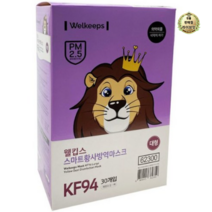 KF94 웰킵스 황사 방역 마스크 30개입 대형, 2세트