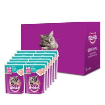 위스카스 고양이 주식 파우치 주니어 참치, 80g, 12팩