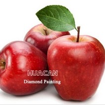 HUACAN 빨강사과 (스퀘어 2.5mm 3D) 보석십자수, 빨간사과 1 (스퀘어 30cm×40cm)