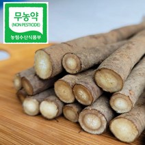 우엉재배 추천순위 TOP50 상품 리스트