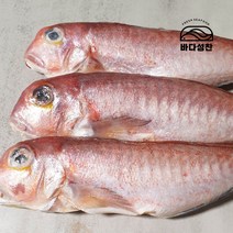 제주 통 옥돔 450g(3-4미), 단품