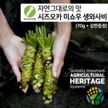 [와사비가게] 첨가물이 없는 자연그대로의 시즈오카 미쇼우 생와사비 70g(강판증정), 70g, 1개
