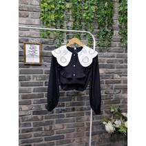 하트 꽃자수 물결 빅카라 블라우스