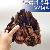 가재은신처 겸용 그루터기 유목 중
