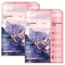 2080 퓨어 마운틴 핑크 솔트 치약, 100g, 4개