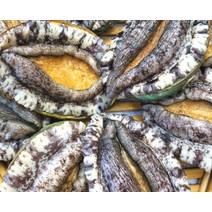 꿀꿀도매 완도 활전복 7~25미, 1개, 1kg 12미