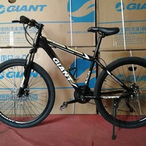 전기 산악자전거 MTB 광폭타이어 입문 출퇴근용 산악 자전거 한 바퀴 스포츠카 성인 학생용 오프로드 레이, 07 7_01 24inch
