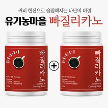 유기농마을 빠질리카노, 100g, 2개