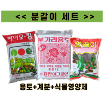 분갈이3종세트 알송이 200g 계분 바이오킹 600g 용토 2L 스타터 화초재배 웃거름 식물영양제, 1개