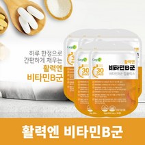 업무 학업 과로 스트레스 불규칙한 생활 에너지 체력 무기력감 무력감 힘들때 지칠때 회복 관리 에 좋은 먹는 생활 활력 수용성 비타민 B군, 5BOX(5개월분)