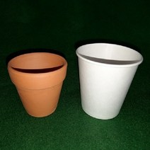 토분 화분 미니토분 다육이[지름6.5cmX높이6cm] 수입도매, 1개