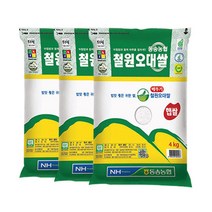 농협 산지직송 철원 오대쌀 4kg 당일도정 자연선생, 3개