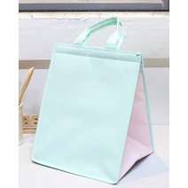 케이크보냉백 피크닉 보온가방 (2호)