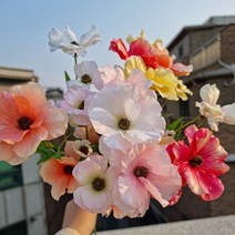 양귀비 조화 6color 도매 미니 인테리어 생화같은, 올셀 복숭아 분홍