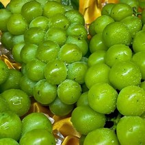 국내산 아삭달달 포도 샤인머스켓 2kg 3-5과