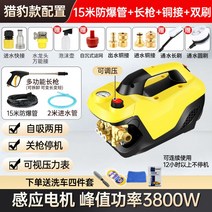 고압세척기 고압세차기 세차 가정용 분사기 업소용 셀프세차 차량 고성능, [치타3800W]15m 방폭관+구리접합+부스트롱건