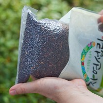 유기농 발아찰흑미 쌀 흑미찹쌀 검정쌀 유기농쌀 1kg 국산, 발아찰흑미(유기농) 1kg 2봉