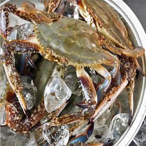 연평도 최상급 국내산 알배기 냉동 암 꽃게, 3kg(9미~15미)