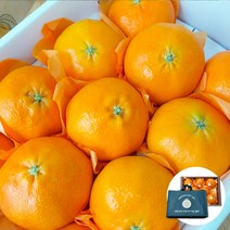 제주 레드향 한라봉 천혜향 선물세트 3kg 5kg, 레드향 선물세트 중대 3KG 부직포