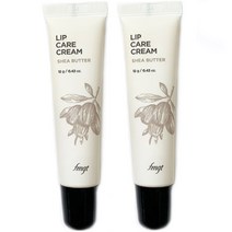 더페이스샵 fmgt 시어버터 립케어 크림 2개세트 (12g+12g)