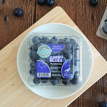 고당도 칠레 생 블루베리 125gx8팩/16mm내외/1kg, 없음