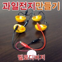 나nanr_향앤미과학 과일 전지 만들기 멜로디 버저 1인용 실험 교구 교재 키트 학습 교육용♥sksnfll, ♥sstarting